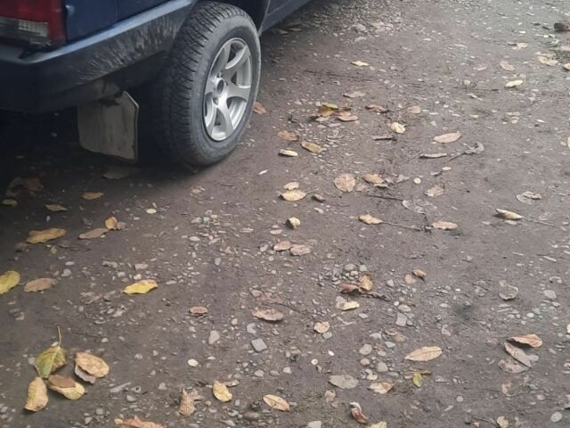 ВАЗ 21099 2005 в Черновцах на Automoto.ua Синий ВАЗ 21099, объемом двигателя 0 л и пробегом 100 тыс. км за 1150 $, фото 6 на Automoto.ua