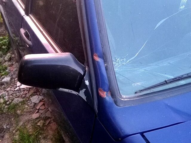 Синий ВАЗ 21099, объемом двигателя 1.5 л и пробегом 200 тыс. км за 1000 $, фото 9 на Automoto.ua