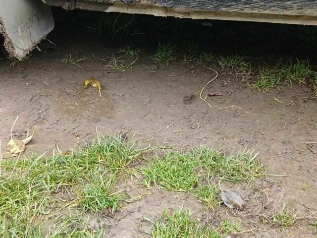 Зеленый ВАЗ 21099, объемом двигателя 1.5 л и пробегом 249 тыс. км за 1000 $, фото 4 на Automoto.ua