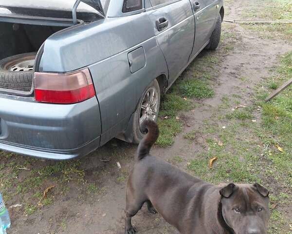 ВАЗ 2110, объемом двигателя 1.6 л и пробегом 240 тыс. км за 1900 $, фото 9 на Automoto.ua