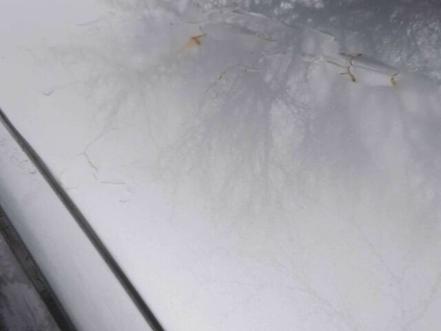 Серый ВАЗ 2110, объемом двигателя 1.6 л и пробегом 250 тыс. км за 1301 $, фото 7 на Automoto.ua