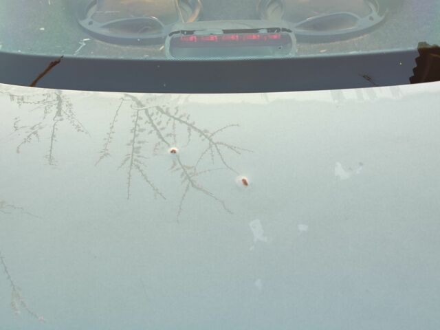 ВАЗ 2110 2008 у Шишаках на Automoto.ua Зелений ВАЗ 2110, об'ємом двигуна 1.6 л та пробігом 154 тис. км за 2100 $, фото 9 на Automoto.ua