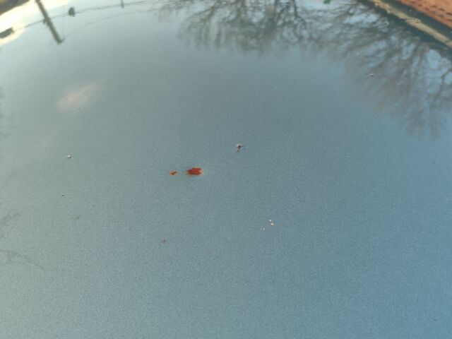 ВАЗ 2110 2008 у Шишаках на Automoto.ua Зелений ВАЗ 2110, об'ємом двигуна 1.6 л та пробігом 154 тис. км за 2100 $, фото 10 на Automoto.ua