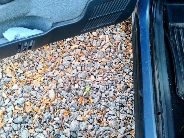 ВАЗ 2111, об'ємом двигуна 1.6 л та пробігом 240 тис. км за 1000 $, фото 3 на Automoto.ua