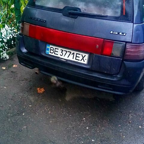 ВАЗ 2111 2000 в Баштанке на Automoto.ua Серый ВАЗ 2111, объемом двигателя 1.5 л и пробегом 263 тыс. км за 1500 $, фото 3 на Automoto.ua