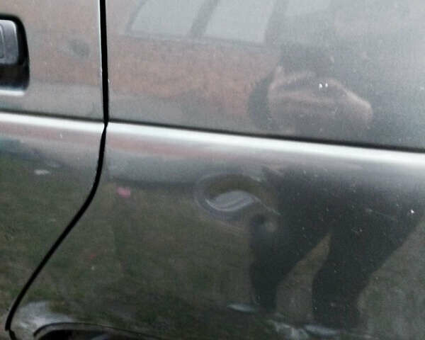 Зеленый ВАЗ 2111, объемом двигателя 1.6 л и пробегом 165 тыс. км за 2600 $, фото 8 на Automoto.ua