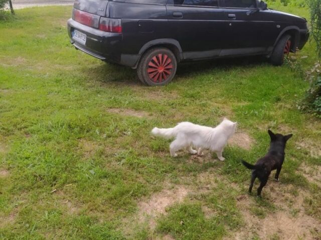 Черный ВАЗ 2112, объемом двигателя 1.6 л и пробегом 154 тыс. км за 1600 $, фото 4 на Automoto.ua