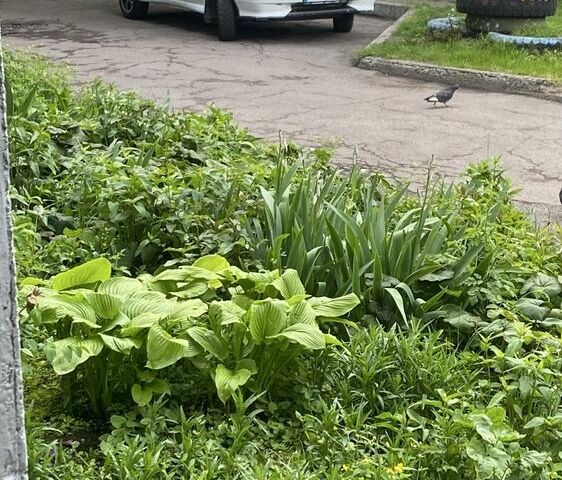 Белый ВАЗ 2113 Самара, объемом двигателя 1.6 л и пробегом 2 тыс. км за 2000 $, фото 6 на Automoto.ua