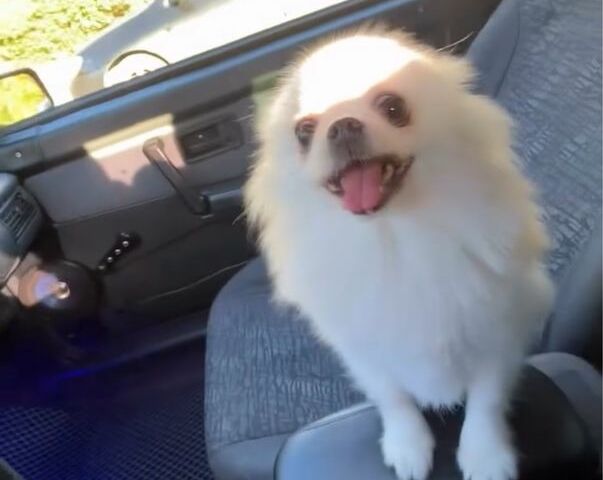 Серый ВАЗ 2113 Самара, объемом двигателя 1.6 л и пробегом 300 тыс. км за 1600 $, фото 4 на Automoto.ua