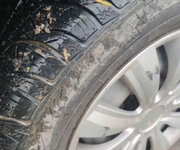ВАЗ 2114 Самара 2008 в Львове на Automoto.ua Зеленый ВАЗ 2114 Самара, объемом двигателя 1.6 л и пробегом 231 тыс. км за 1100 $, фото 9 на Automoto.ua
