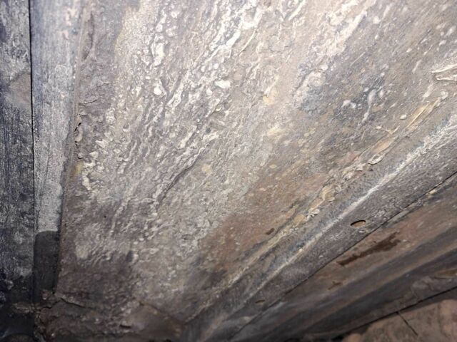 Черный ВАЗ 2115 Самара, объемом двигателя 1.5 л и пробегом 1 тыс. км за 1241 $, фото 8 на Automoto.ua