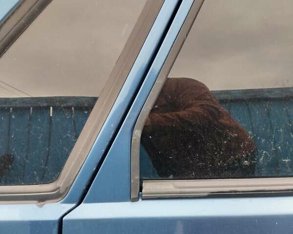 Синій ВАЗ 2115 Самара, об'ємом двигуна 1.6 л та пробігом 200 тис. км за 1100 $, фото 19 на Automoto.ua