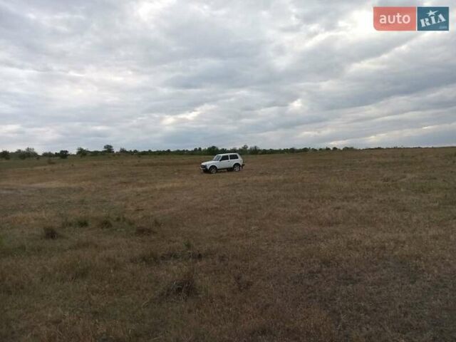 Білий ВАЗ 2121 Нива, об'ємом двигуна 1.7 л та пробігом 295 тис. км за 3600 $, фото 6 на Automoto.ua