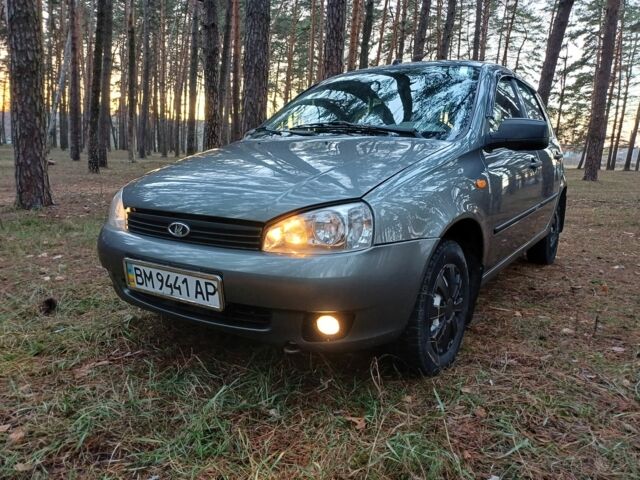 Серый ВАЗ Калина, объемом двигателя 1.6 л и пробегом 118 тыс. км за 3300 $, фото 7 на Automoto.ua