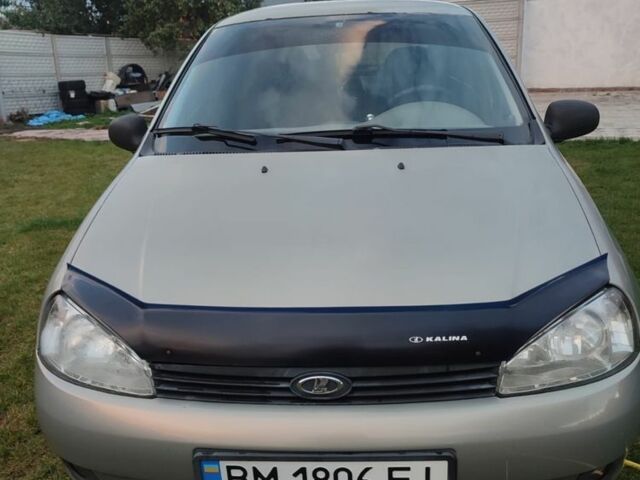 Серый ВАЗ Калина, объемом двигателя 1.6 л и пробегом 160 тыс. км за 1700 $, фото 1 на Automoto.ua