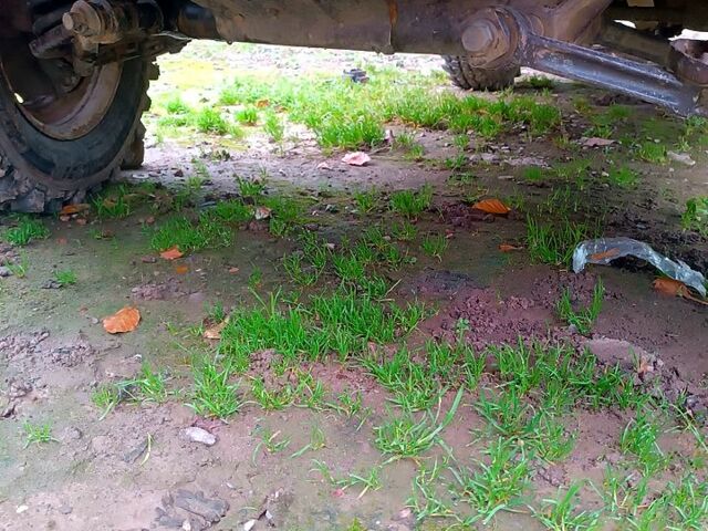 ВАЗ Нива, объемом двигателя 1.6 л и пробегом 25 тыс. км за 1500 $, фото 1 на Automoto.ua