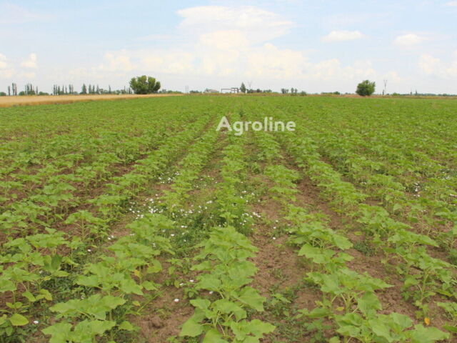 Зеленый Велес-Агро Другая, объемом двигателя 0 л и пробегом 0 тыс. км за 319005 $, фото 7 на Automoto.ua