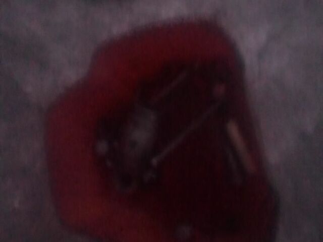 Верховина Другая, объемом двигателя 26 л и пробегом 0 тыс. км за 36 $, фото 3 на Automoto.ua