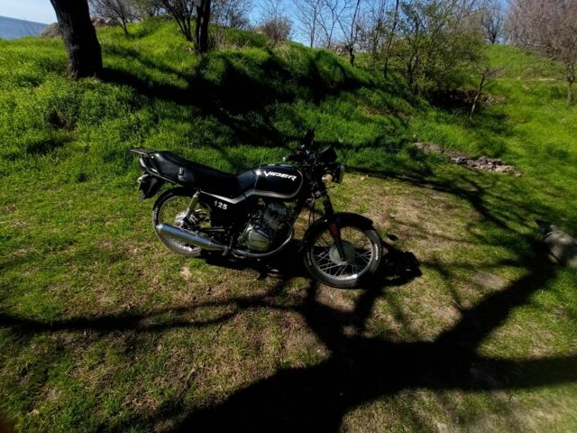 Вайпер 125, об'ємом двигуна 0.13 л та пробігом 0 тис. км за 850 $, фото 9 на Automoto.ua