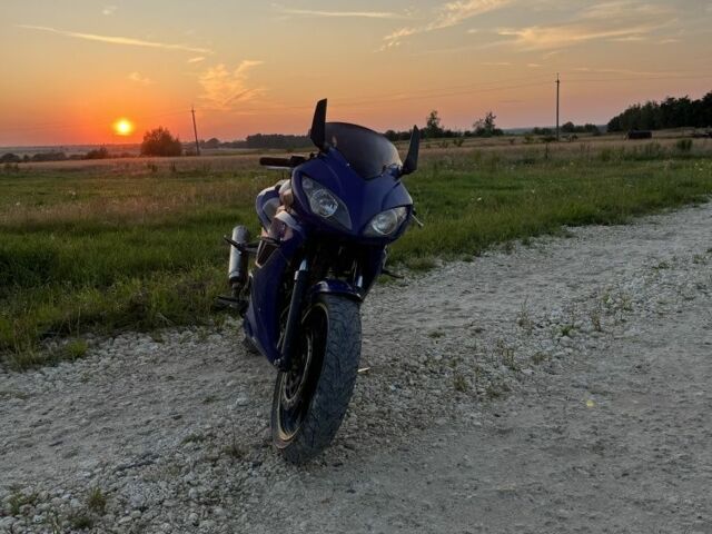 Вайпер Ф2, об'ємом двигуна 0.25 л та пробігом 0 тис. км за 790 $, фото 8 на Automoto.ua