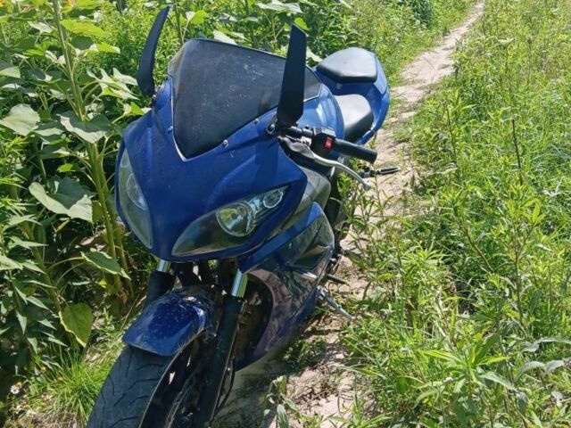 Вайпер Ф2, об'ємом двигуна 0.25 л та пробігом 0 тис. км за 790 $, фото 7 на Automoto.ua