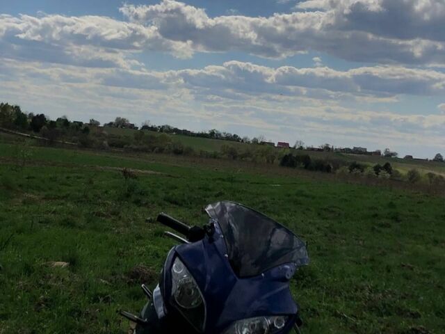 Вайпер Ф2, об'ємом двигуна 0.25 л та пробігом 0 тис. км за 790 $, фото 1 на Automoto.ua