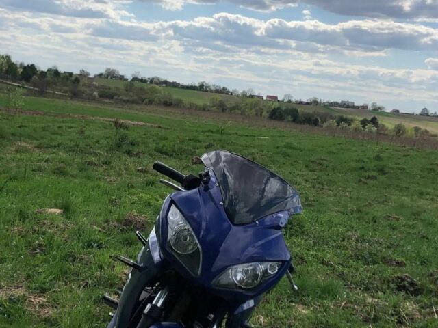 Вайпер Ф2, об'ємом двигуна 0.25 л та пробігом 0 тис. км за 790 $, фото 2 на Automoto.ua