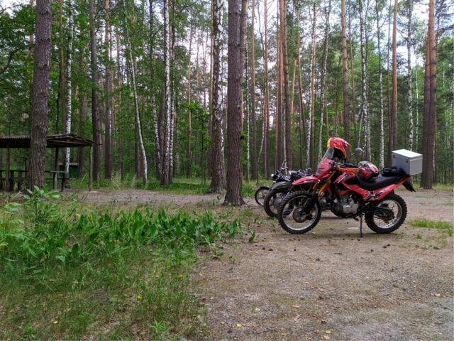Вайпер МКС, объемом двигателя 0.2 л и пробегом 0 тыс. км за 37000 $, фото 4 на Automoto.ua