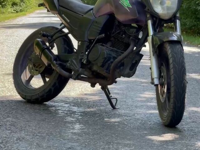 Вайпер Р2, об'ємом двигуна 0.25 л та пробігом 0 тис. км за 413 $, фото 6 на Automoto.ua