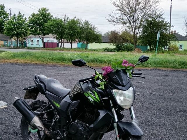 Вайпер Р2, объемом двигателя 0.2 л и пробегом 0 тыс. км за 670 $, фото 2 на Automoto.ua