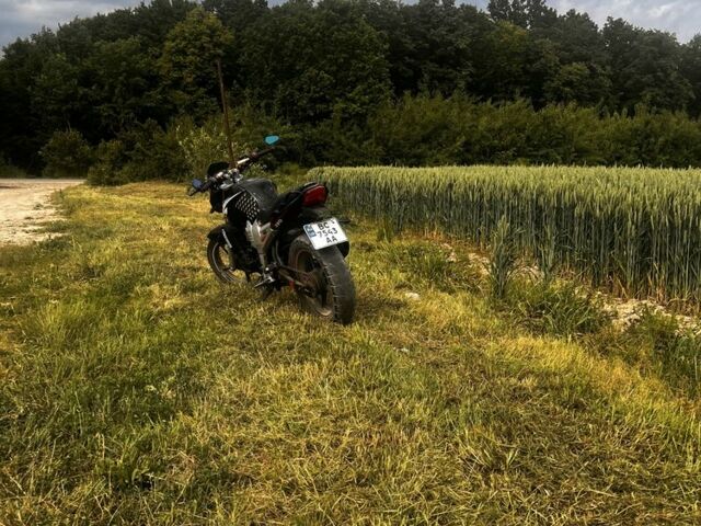 Вайпер Р2, об'ємом двигуна 0.2 л та пробігом 0 тис. км за 714 $, фото 15 на Automoto.ua