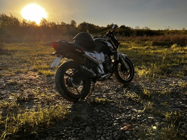 Вайпер Р2, об'ємом двигуна 0.2 л та пробігом 0 тис. км за 714 $, фото 5 на Automoto.ua