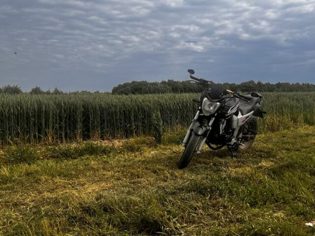 Вайпер Р2, об'ємом двигуна 0.2 л та пробігом 0 тис. км за 714 $, фото 14 на Automoto.ua