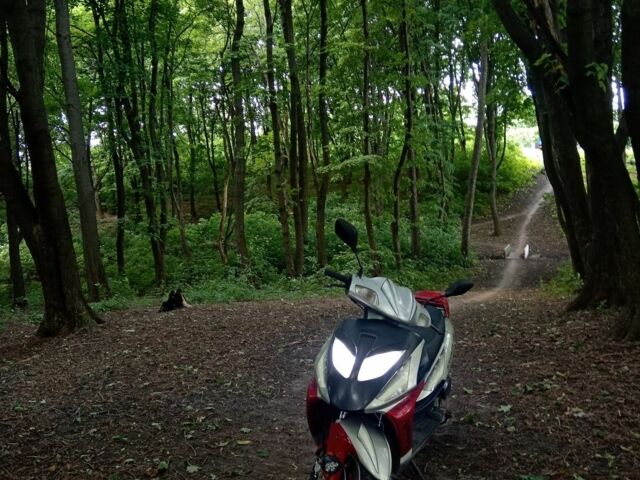 Вайпер Шторм, объемом двигателя 49 л и пробегом 0 тыс. км за 296 $, фото 3 на Automoto.ua