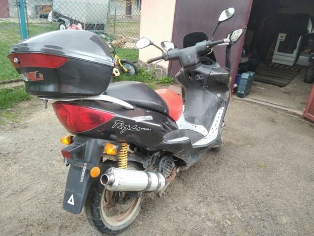 Вайпер Тигр, объемом двигателя 0.15 л и пробегом 0 тыс. км за 400 $, фото 2 на Automoto.ua