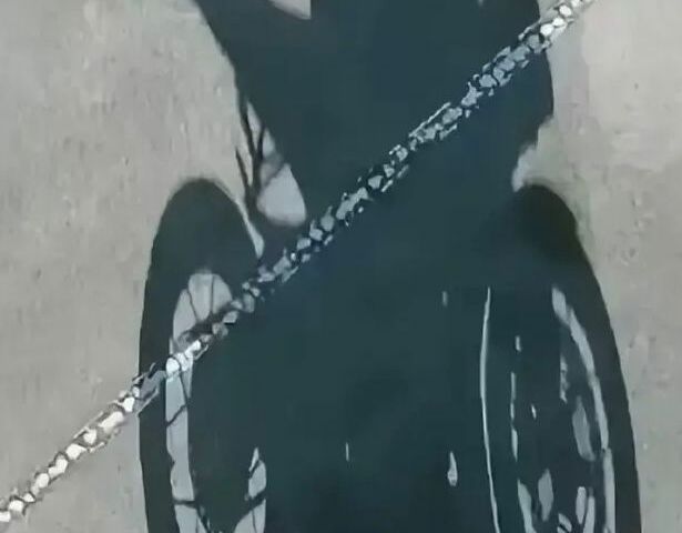 Вайпер Інша, об'ємом двигуна 0.25 л та пробігом 0 тис. км за 1250 $, фото 14 на Automoto.ua