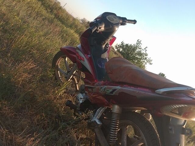 Вайпер Інша, об'ємом двигуна 0.11 л та пробігом 0 тис. км за 182 $, фото 2 на Automoto.ua