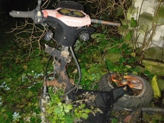 Вайпер Інша, об'ємом двигуна 50 л та пробігом 0 тис. км за 24 $, фото 3 на Automoto.ua