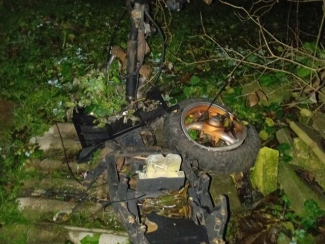 Вайпер Інша, об'ємом двигуна 50 л та пробігом 0 тис. км за 24 $, фото 4 на Automoto.ua