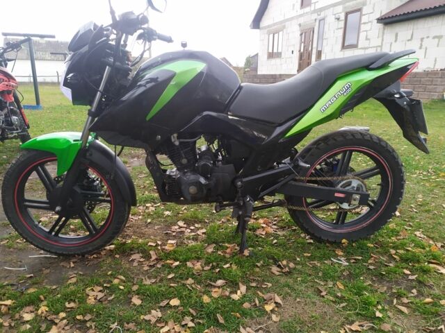 Вайпер Інша, об'ємом двигуна 0.2 л та пробігом 0 тис. км за 600 $, фото 1 на Automoto.ua