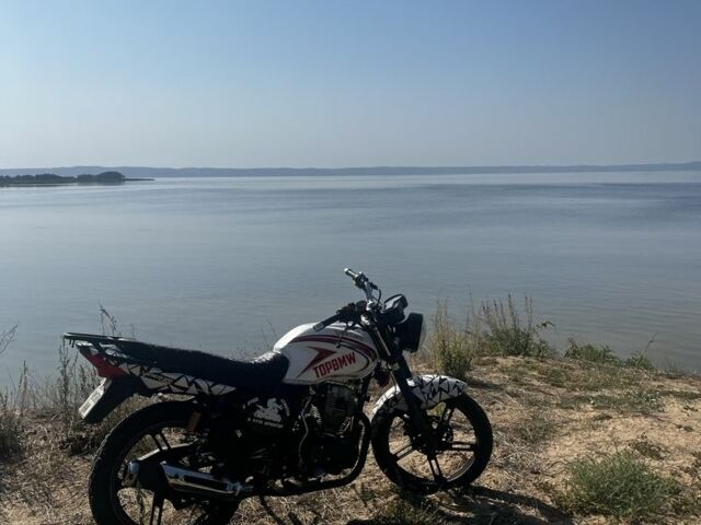 Вайпер Інша, об'ємом двигуна 0.2 л та пробігом 0 тис. км за 550 $, фото 2 на Automoto.ua