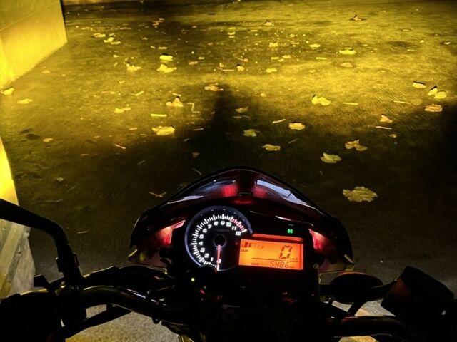 Вайпер Другая, объемом двигателя 0.2 л и пробегом 0 тыс. км за 950 $, фото 3 на Automoto.ua