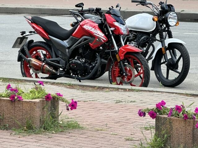 Вайпер Другая, объемом двигателя 0.2 л и пробегом 0 тыс. км за 1073 $, фото 6 на Automoto.ua