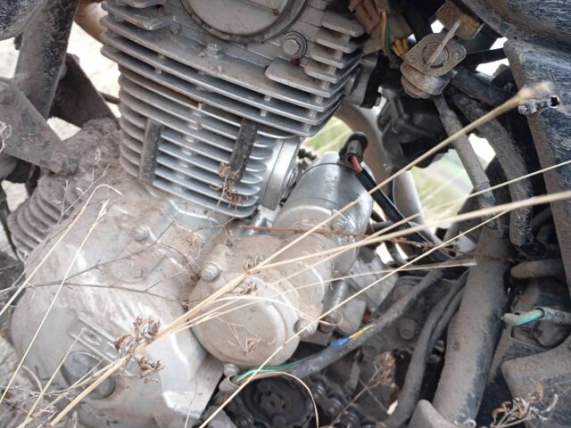 Вайпер Другая, объемом двигателя 0.25 л и пробегом 0 тыс. км за 591 $, фото 3 на Automoto.ua