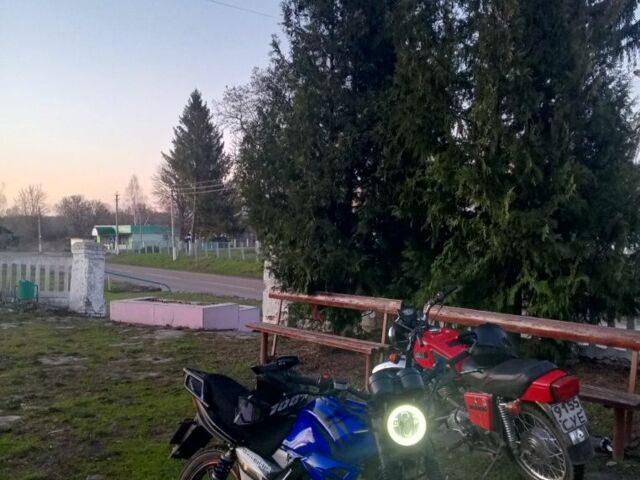 Вайпер Другая 2014 в Ямполе на Automoto.ua Вайпер Другая, объемом двигателя 0.18 л и пробегом 0 тыс. км за 525 $, фото 8 на Automoto.ua