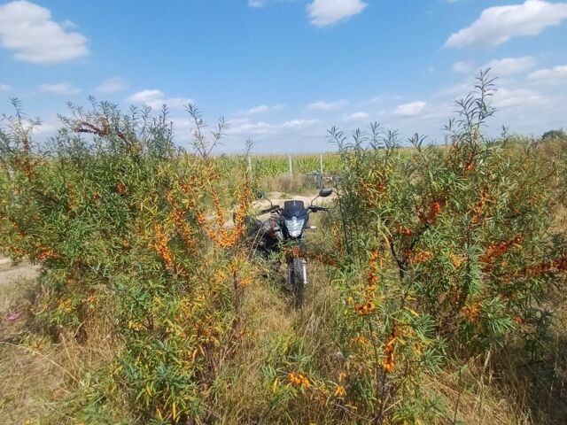 Вайпер Другая, объемом двигателя 0.2 л и пробегом 0 тыс. км за 664 $, фото 1 на Automoto.ua