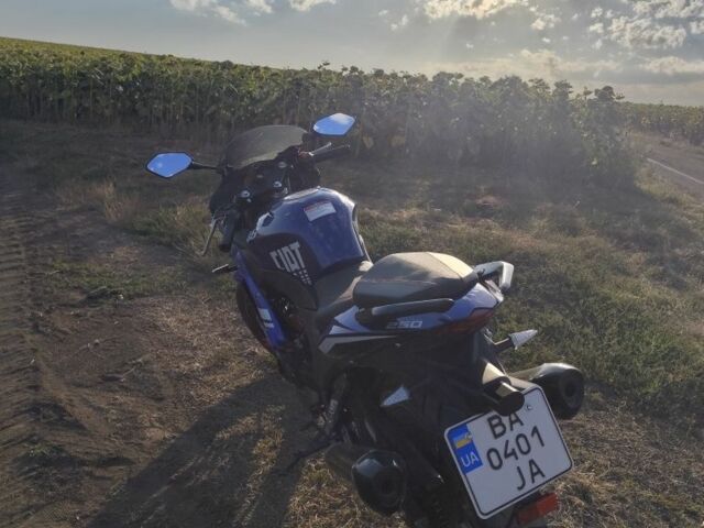 Вайпер Другая, объемом двигателя 0.25 л и пробегом 0 тыс. км за 1230 $, фото 7 на Automoto.ua