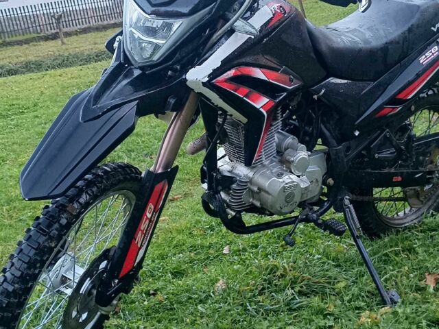 Вайпер Другая, объемом двигателя 0.25 л и пробегом 0 тыс. км за 950 $, фото 3 на Automoto.ua