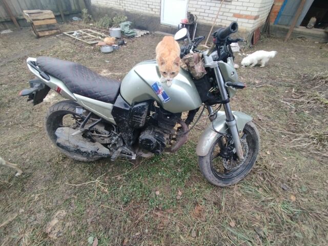 Вайпер Другая, объемом двигателя 0.2 л и пробегом 0 тыс. км за 831 $, фото 2 на Automoto.ua