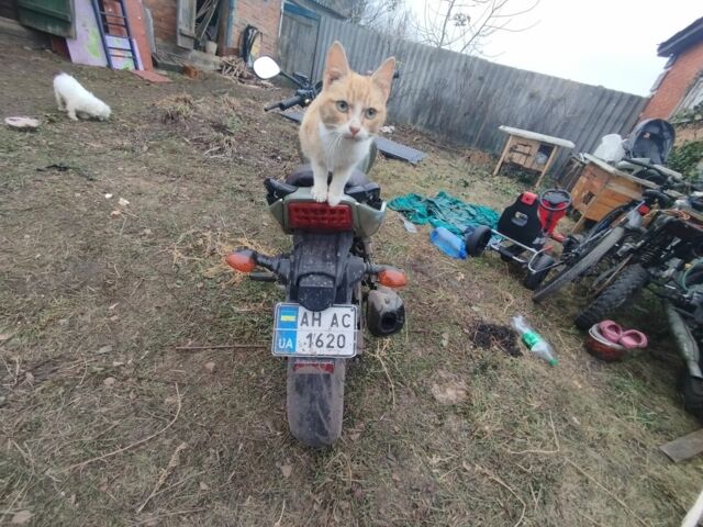 Вайпер Другая, объемом двигателя 0.2 л и пробегом 0 тыс. км за 831 $, фото 3 на Automoto.ua